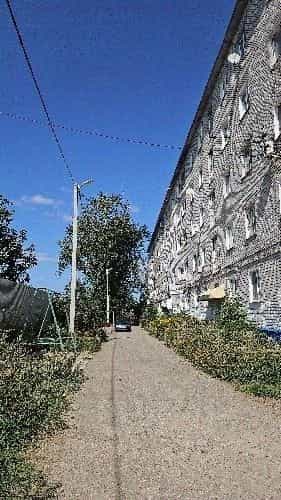 Россия, Ульяновская область, Сенгилеевский район, рабочий посёлок Силикатный, улица Энгельса, 11, фото 13