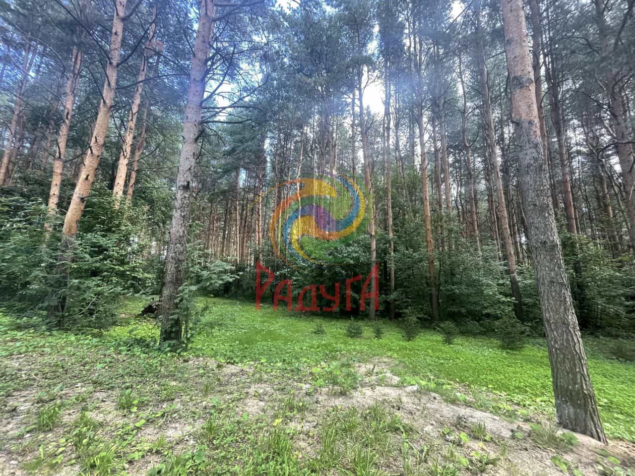 Россия, Ивановский муниципальный округ, деревня Бухарово, 1И, фото 21