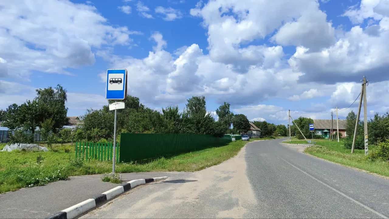 Беларусь, Минская область, Слуцкий район, Беличский сельсовет, деревня Болотчицы, улица Старое Село, 58, фото 13