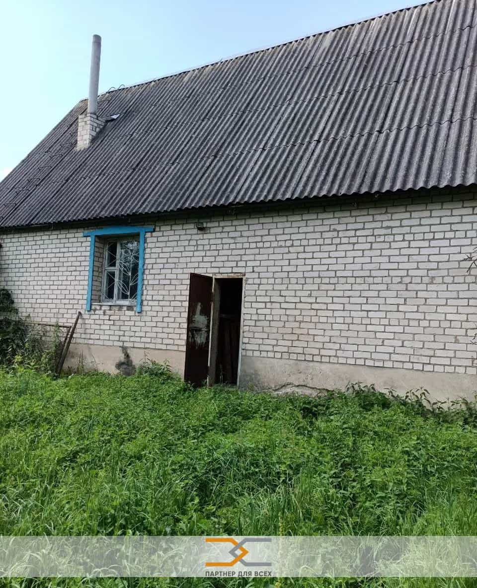 Беларусь, Минская область, Копыльский район, Тимковичский сельсовет, деревня Долгое, Центральная улица, 29, фото 2