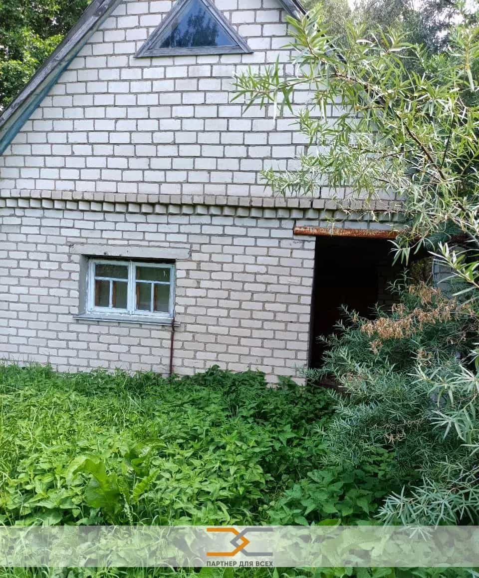 Беларусь, Минская область, Копыльский район, Тимковичский сельсовет, деревня Долгое, Центральная улица, 29, фото 3