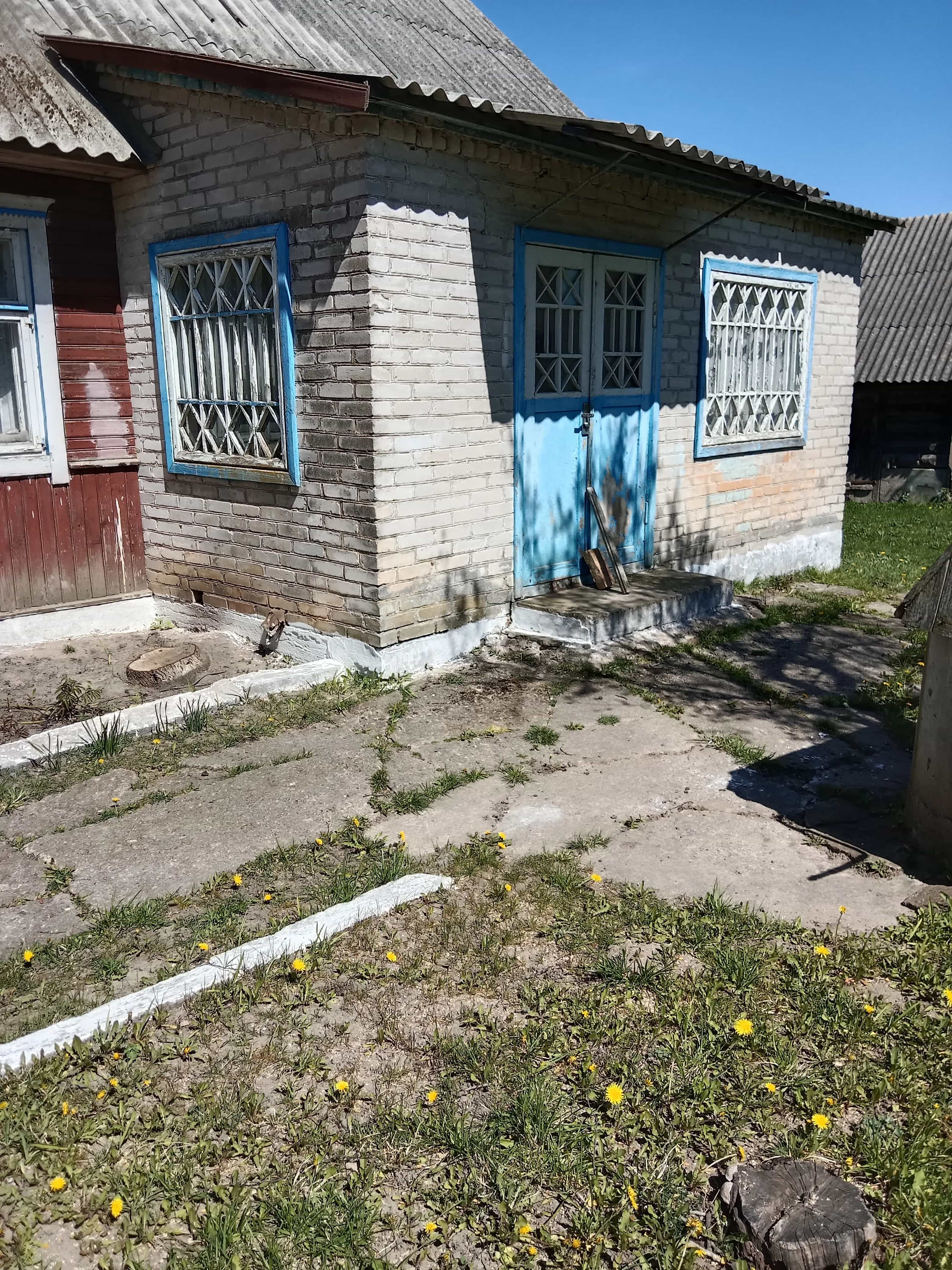 Беларусь, Гродненская область, Зельвенский район, Голынковский сельсовет, деревня Снежная, 31