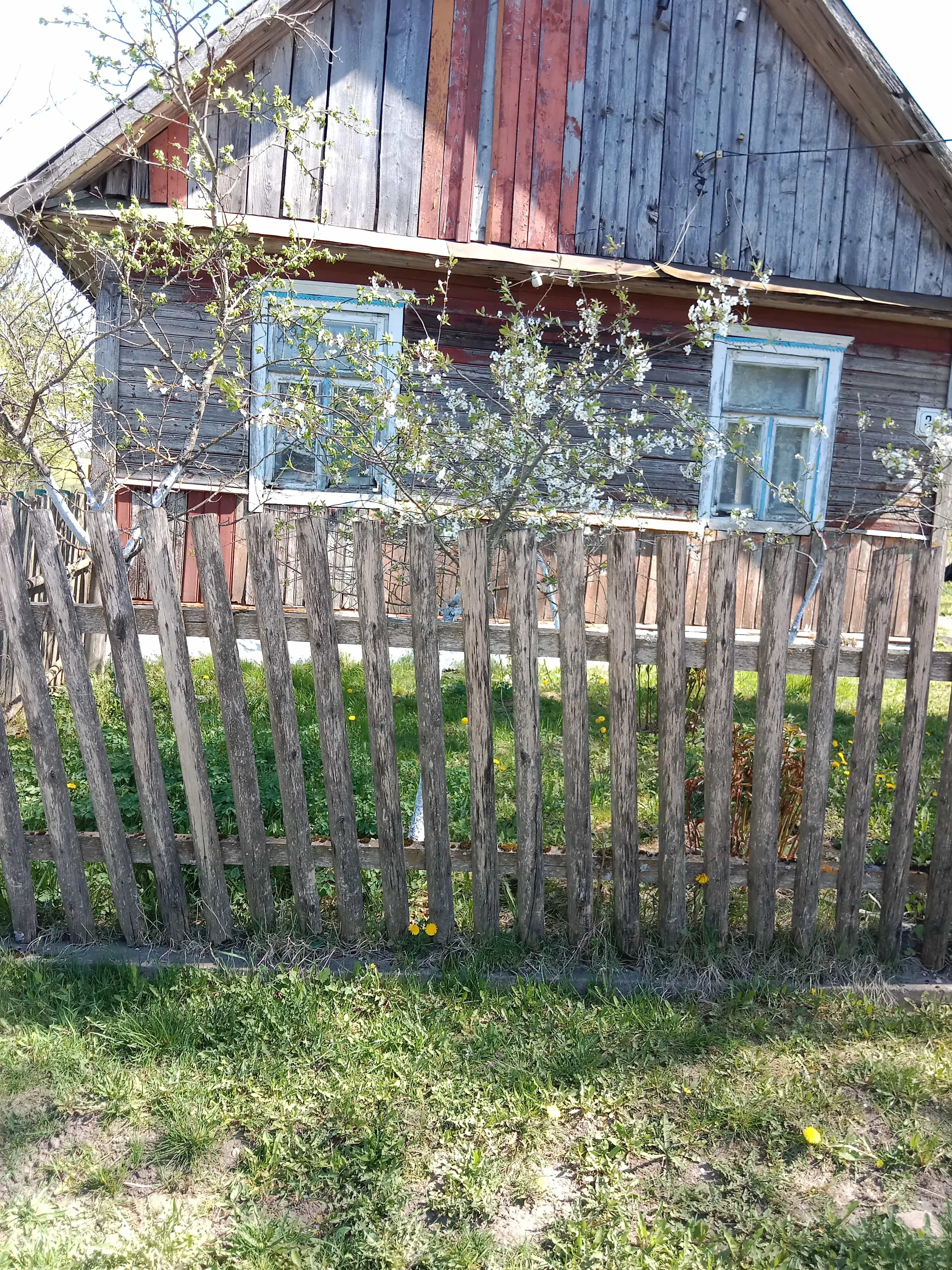 Беларусь, Гродненская область, Зельвенский район, Голынковский сельсовет, деревня Снежная, 31, фото 9
