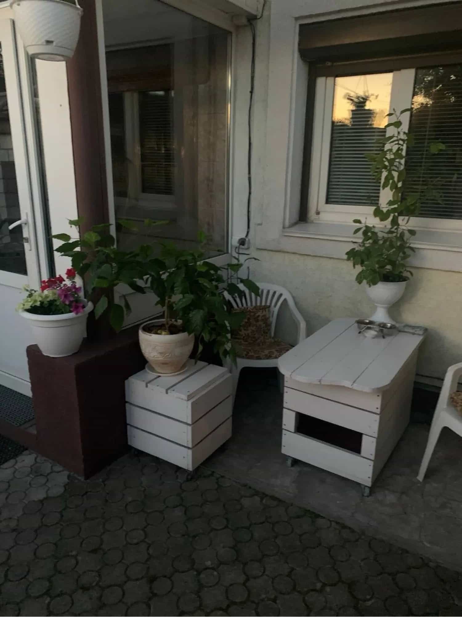 Беларусь, Гомель, улица Джураева, 62, фото 19