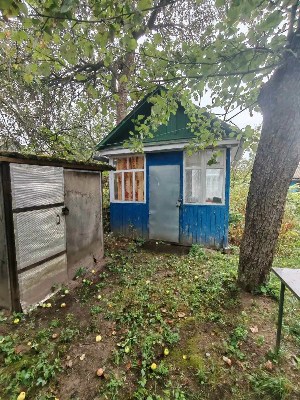 Беларусь, Гомельская область, Жлобинский район, Солонский сельсовет, деревня Большие Роги, Роговская улица, 60, фото 5