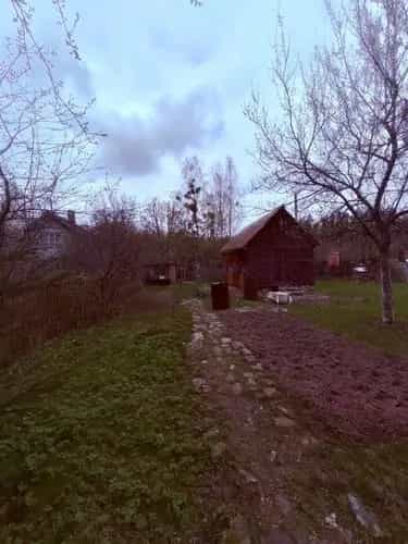 Беларусь, Могилёвская область, Бобруйский район, Вишнёвский сельсовет, садоводческое товарищество Дружба, 35, фото 6