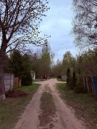 Беларусь, Могилёвская область, Бобруйский район, Вишнёвский сельсовет, садоводческое товарищество Дружба, 35, фото 7