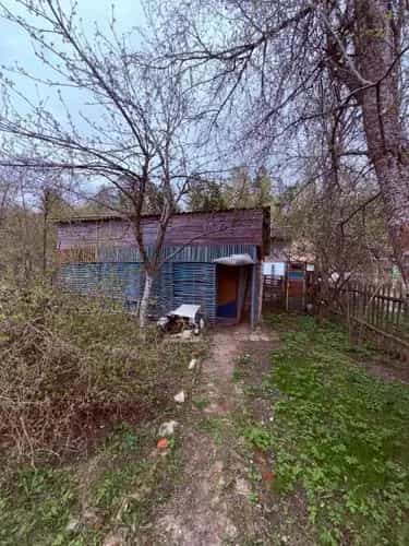 Беларусь, Могилёвская область, Бобруйский район, Вишнёвский сельсовет, садоводческое товарищество Дружба, 35, фото 8