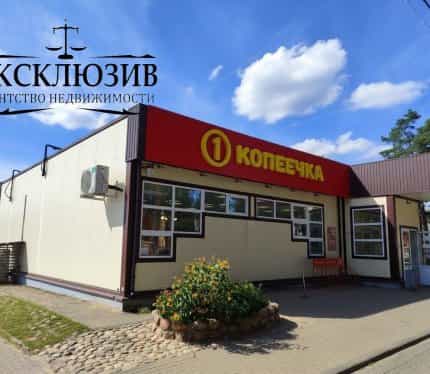 Беларусь, Минская область, Смолевичский район, городской посёлок Зелёный Бор, Железнодорожная улица, 1, фото 38