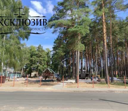 Беларусь, Минская область, Смолевичский район, городской посёлок Зелёный Бор, Железнодорожная улица, 1, фото 45