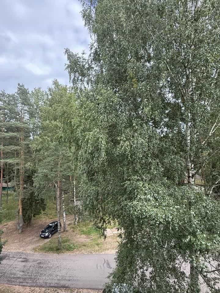 Россия, Новгородская область, Валдайский муниципальный округ, Рощинское сельское поселение, посёлок Рощино, 5, фото 2
