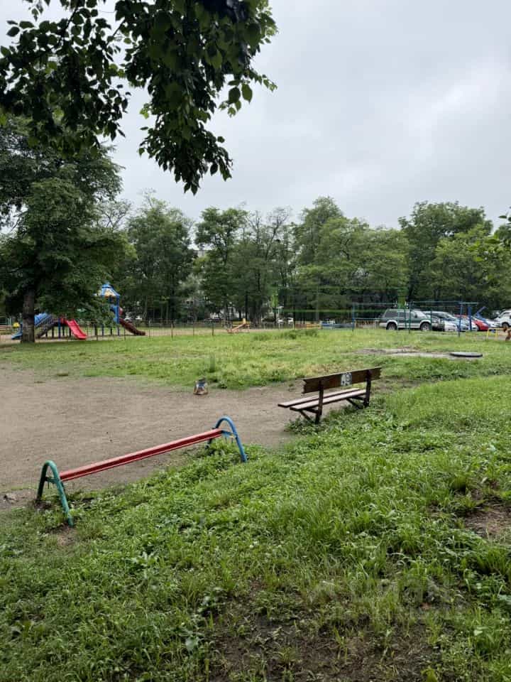 Россия, Приморский край, Артёмовский городской округ, село Кневичи, Авиационная улица, 9, фото 3