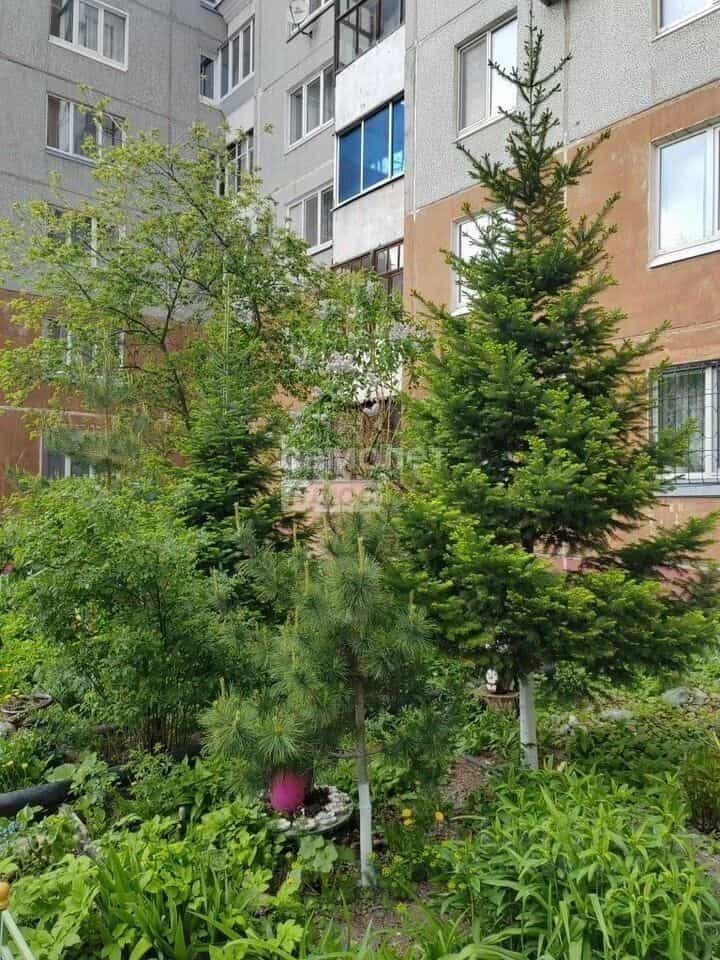 Россия, Омск, улица Конева, 14/1, фото 27