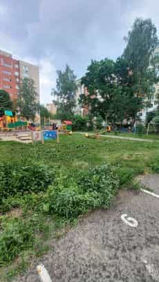 Россия, Пенза, улица Бородина, 12, фото 14