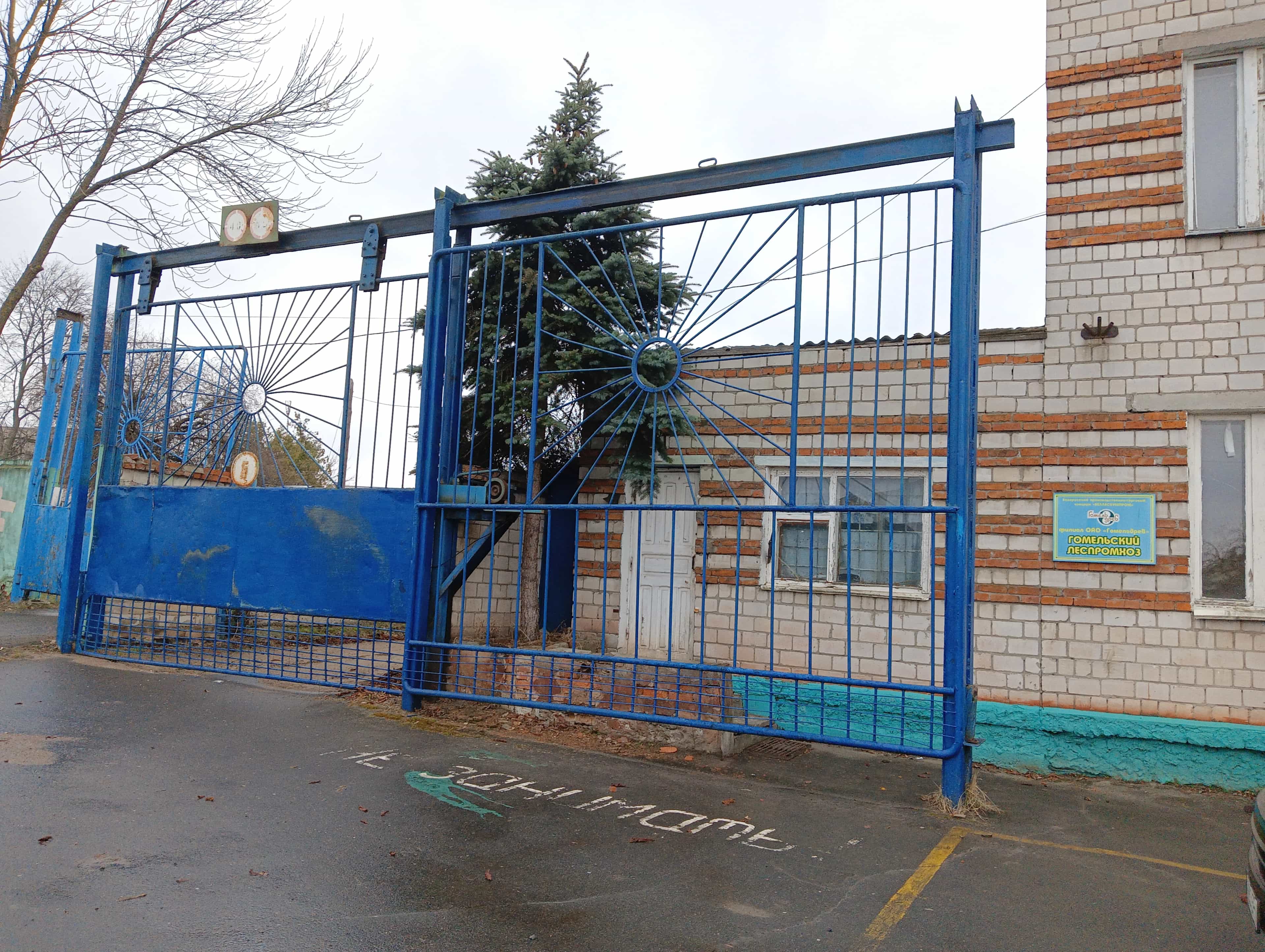 Беларусь, Гомель, Мозырская улица, 14Б, фото 17