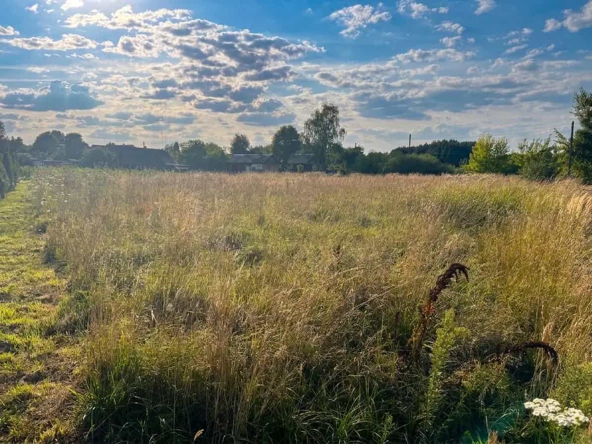 Беларусь, Брестская область, Дрогичинский район, Осовецкий сельсовет, деревня Белинок, Набережная улица, 7