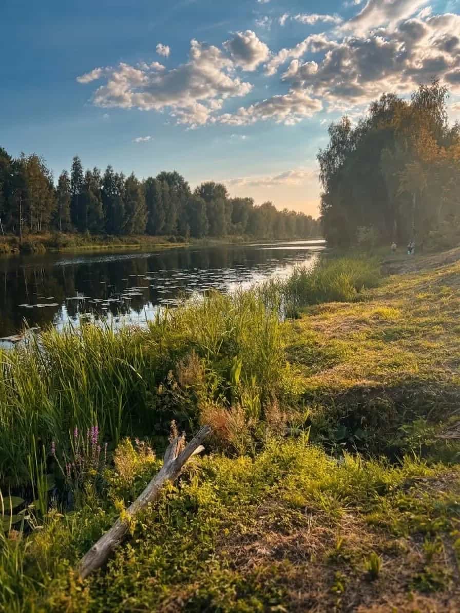 Беларусь, Брестская область, Дрогичинский район, Осовецкий сельсовет, деревня Белинок, Набережная улица, 7, фото 3