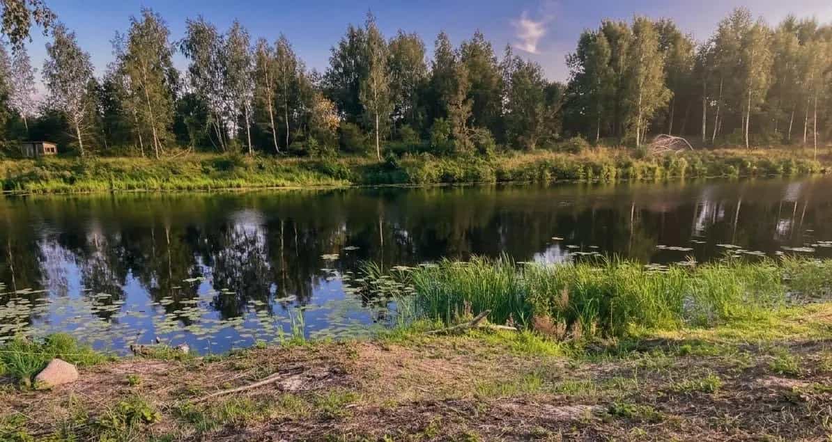 Беларусь, Брестская область, Дрогичинский район, Осовецкий сельсовет, деревня Белинок, Набережная улица, 7, фото 9