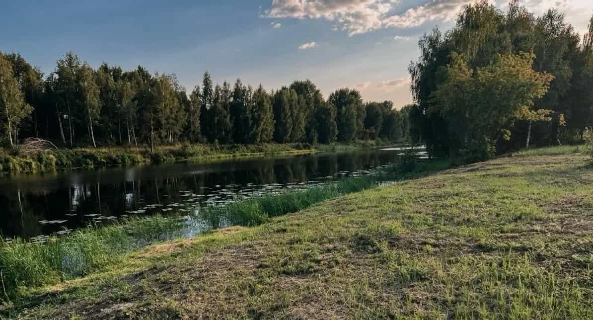 Беларусь, Брестская область, Дрогичинский район, Осовецкий сельсовет, деревня Белинок, Набережная улица, 7, фото 10