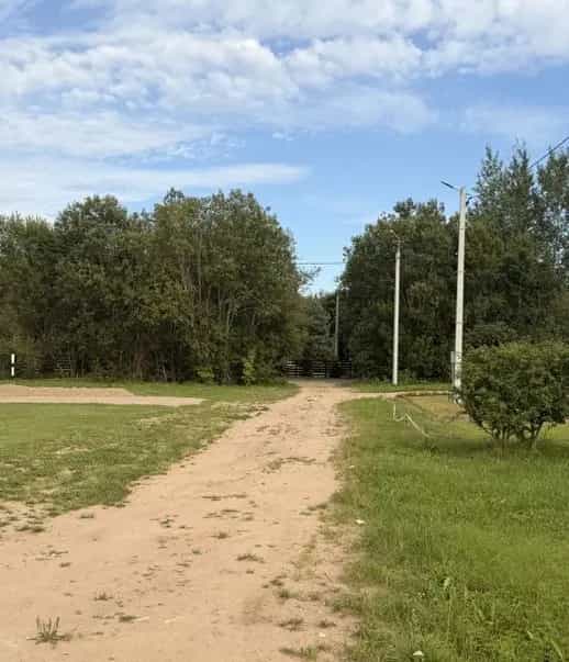 Беларусь, Минская область, Воложинский район, Раковский сельсовет, деревня Бузуны, улица Лейтенанта Воробьёва, 81, фото 8