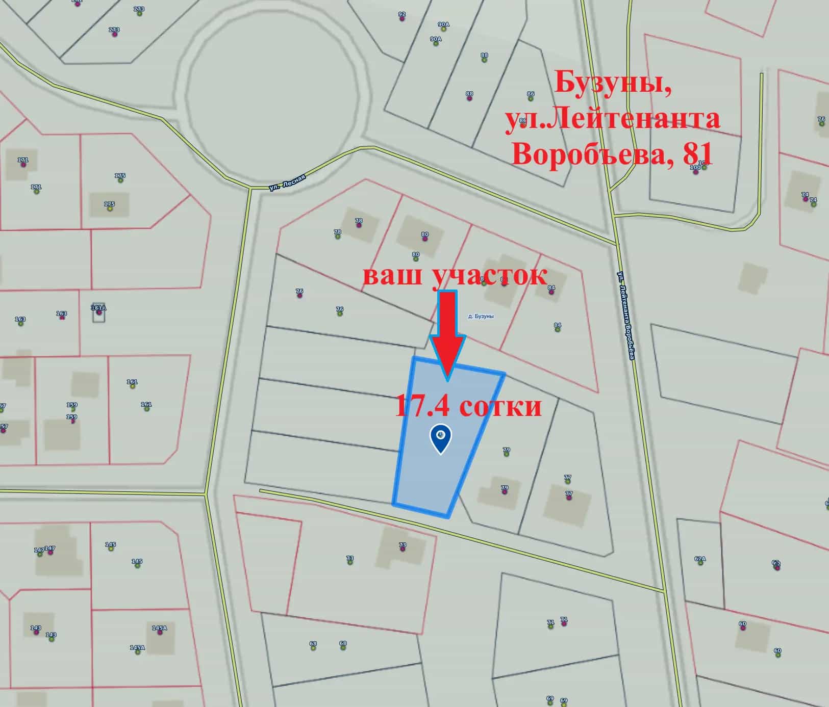 Беларусь, Минская область, Воложинский район, Раковский сельсовет, деревня Бузуны, улица Лейтенанта Воробьёва, 81, фото 9