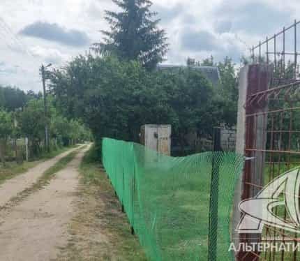 Беларусь, Брестский район, Чернавчицкий сельсовет, садовое товарищество Берёзка-Чернавчицкая, 18
