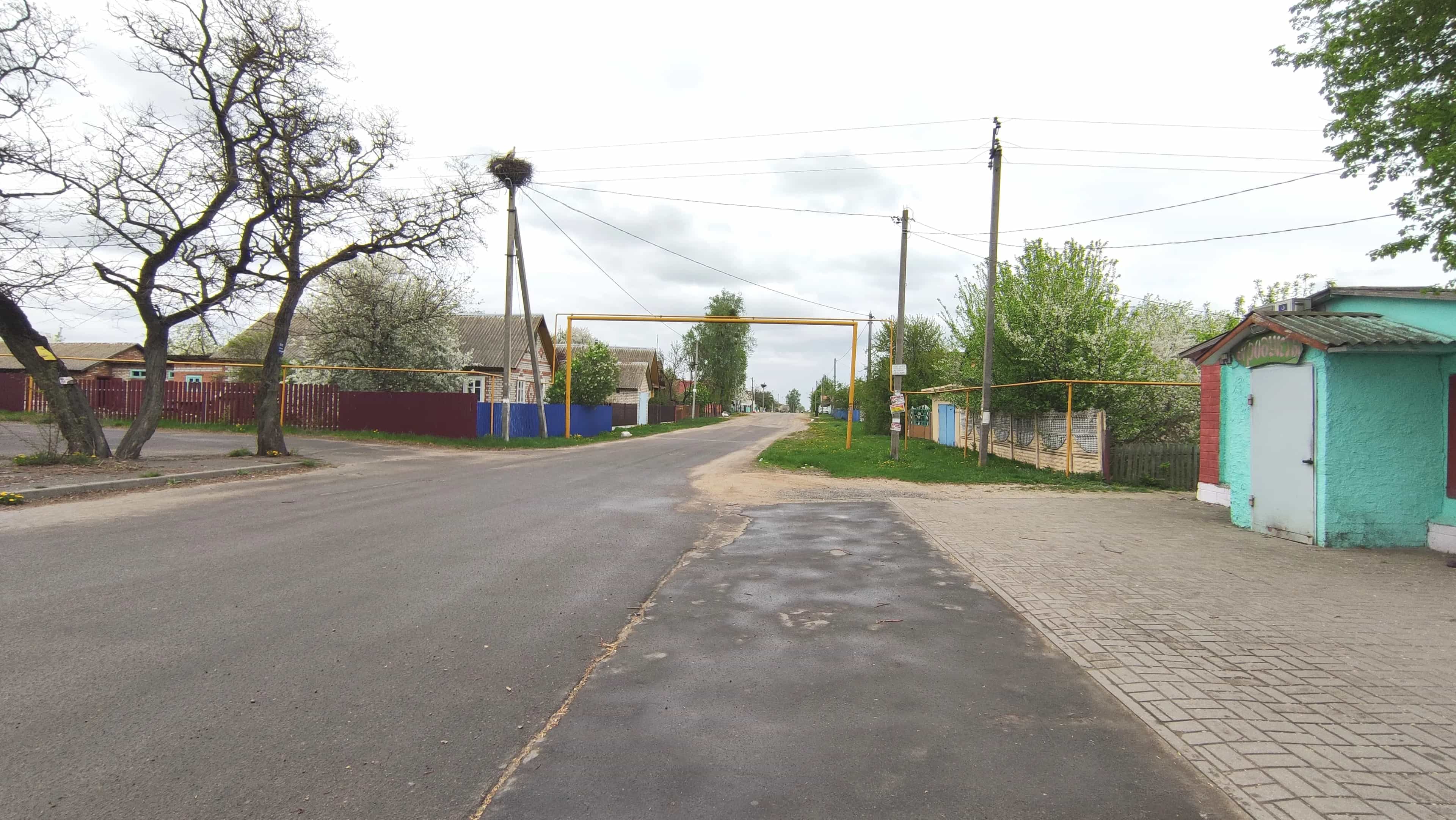 Беларусь, Минская область, Солигорский район, Краснодворский сельсовет, агрогородок Кривичи, Пролетарская улица, 120, фото 11