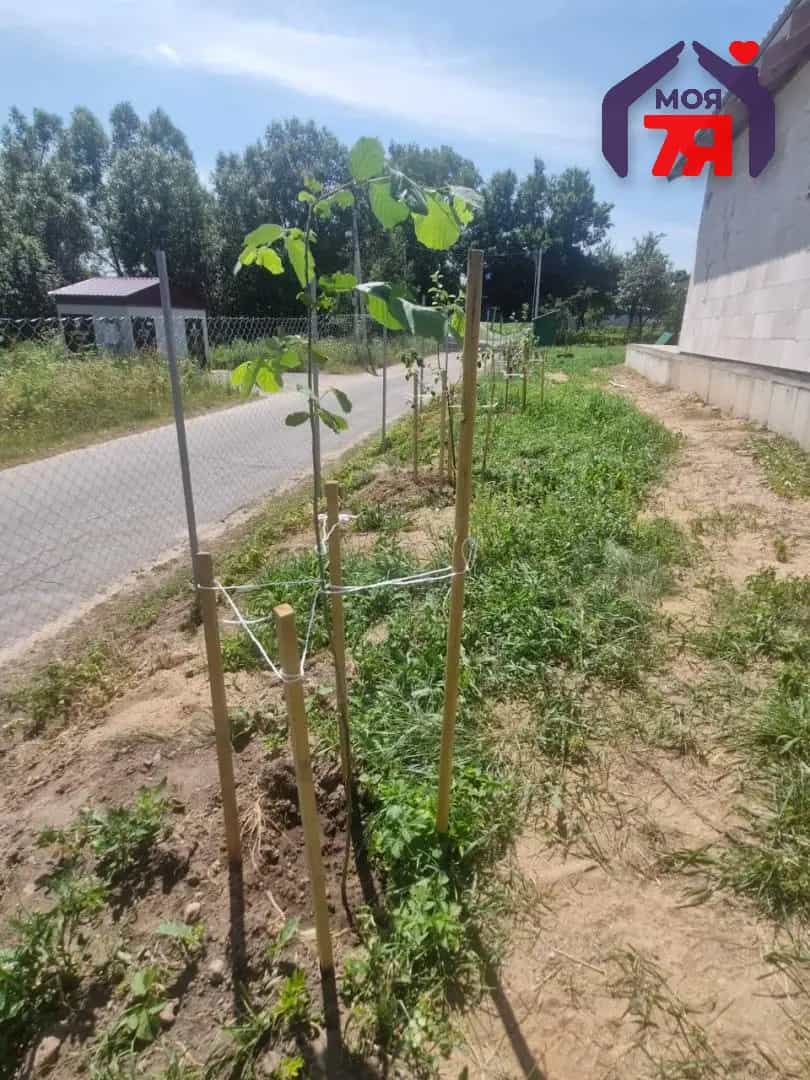 Беларусь, Минская область, Молодечненский район, городской посёлок Радошковичи, площадь Гастелло, 9А, фото 11