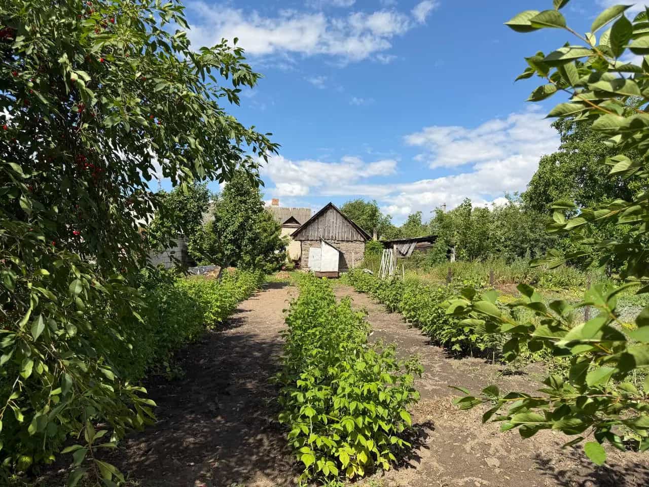 Беларусь, Брестская область, Каменецкий район, Высокое, улица Ленина, 77, фото 5