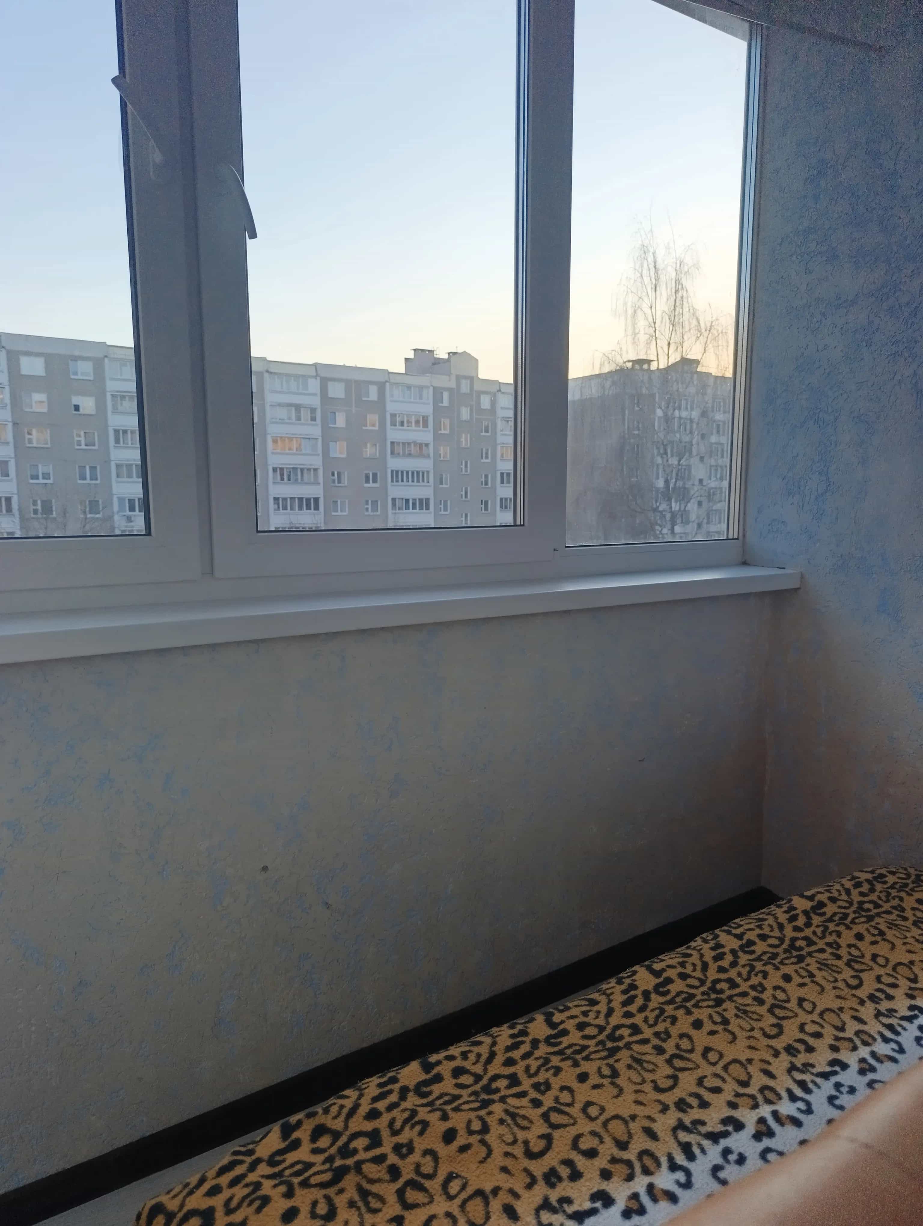 Беларусь, Минск, улица Корженевского, 31, фото 8