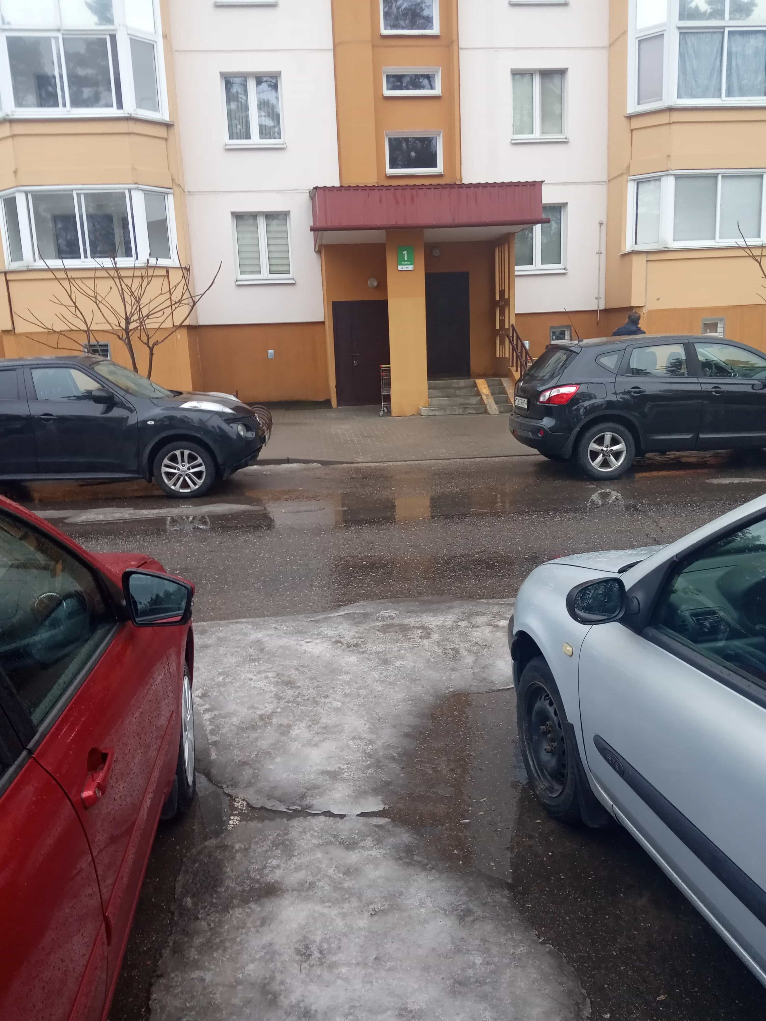 Беларусь, Минский район, Боровлянский сельсовет, агрогородок Лесной, улица Н.Н. Александрова, 19