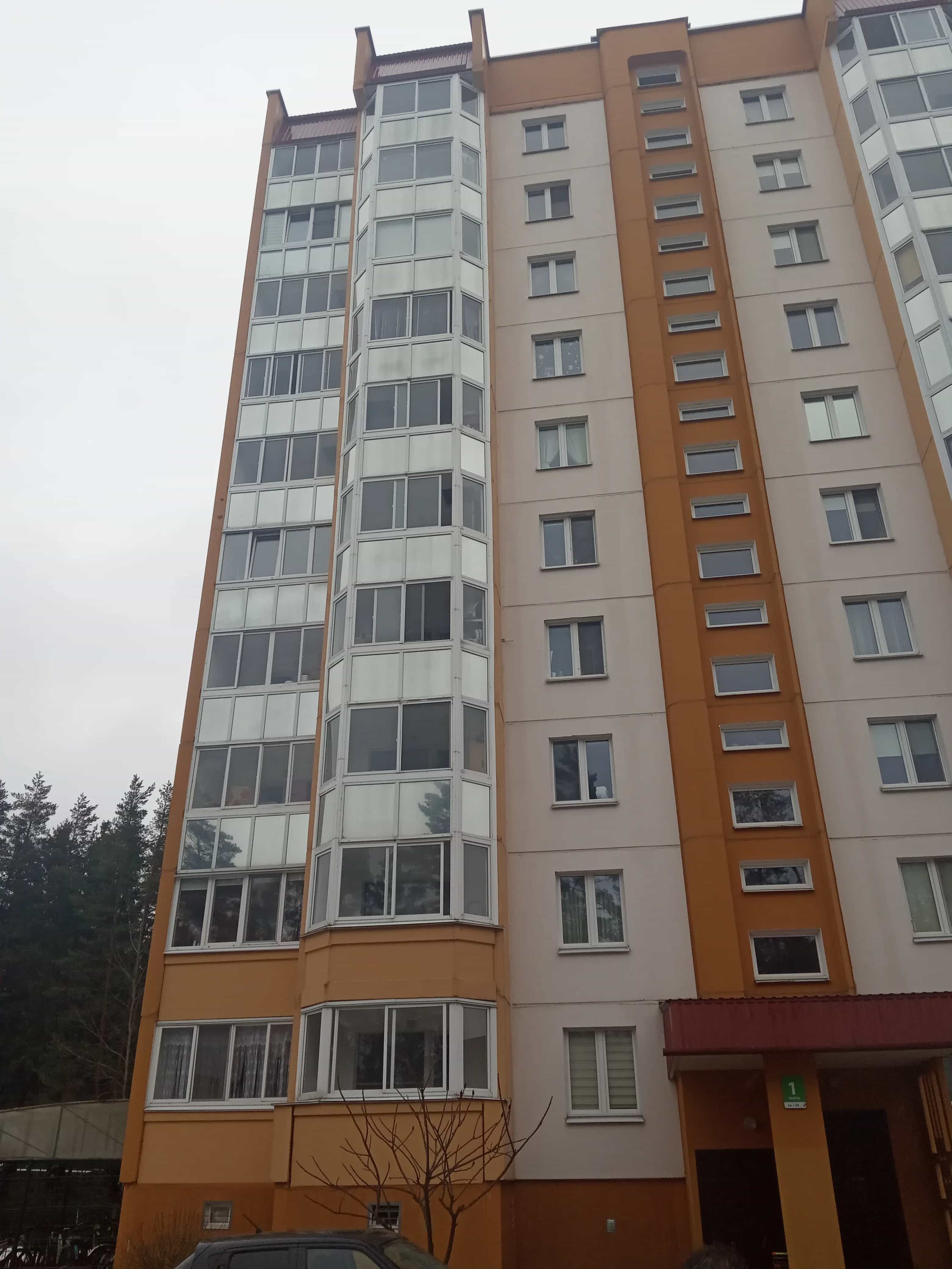 Беларусь, Минский район, Боровлянский сельсовет, агрогородок Лесной, улица Н.Н. Александрова, 19, фото 2