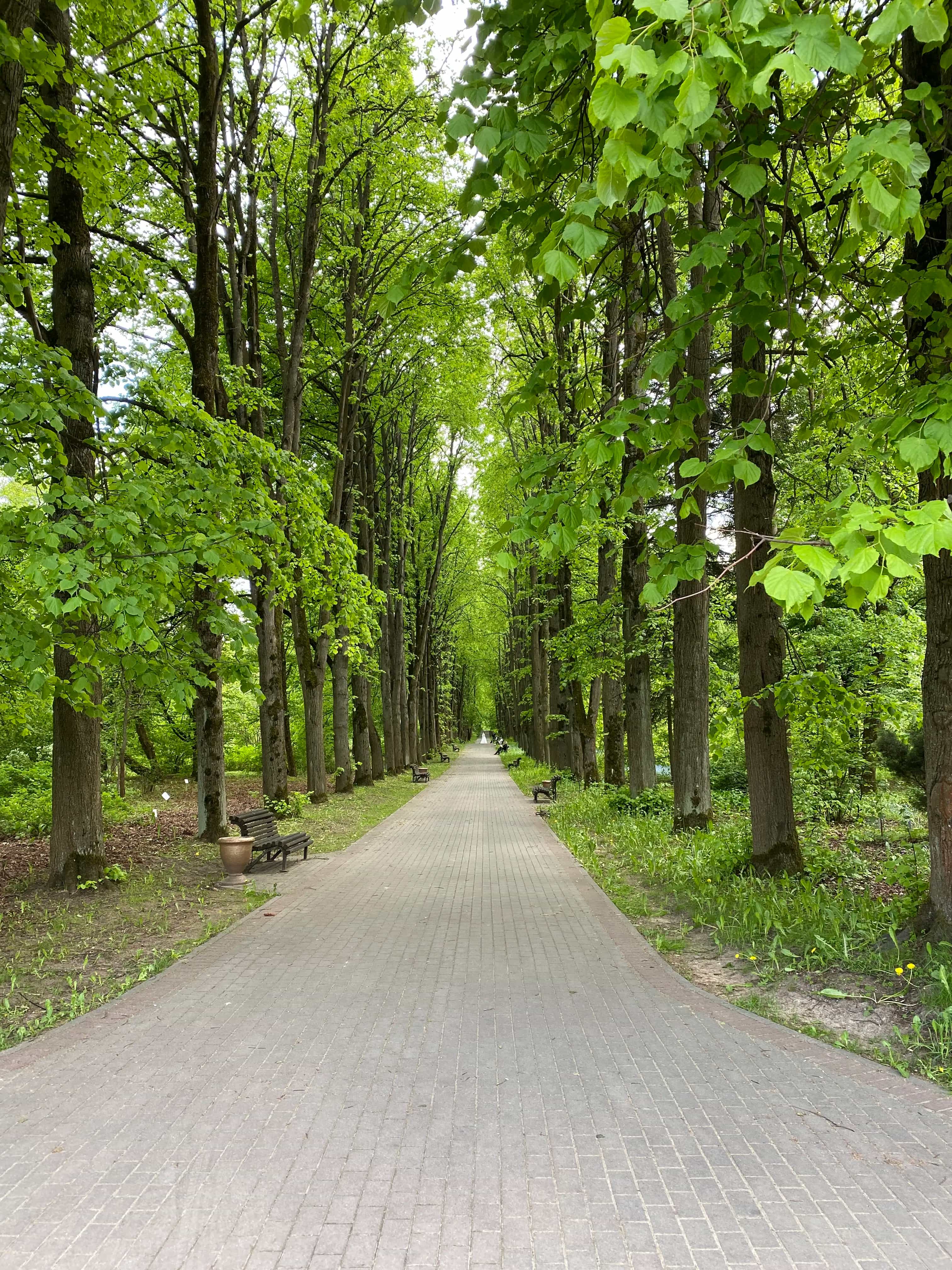 Беларусь, Минск, улица Макаёнка, 12к1, фото 37
