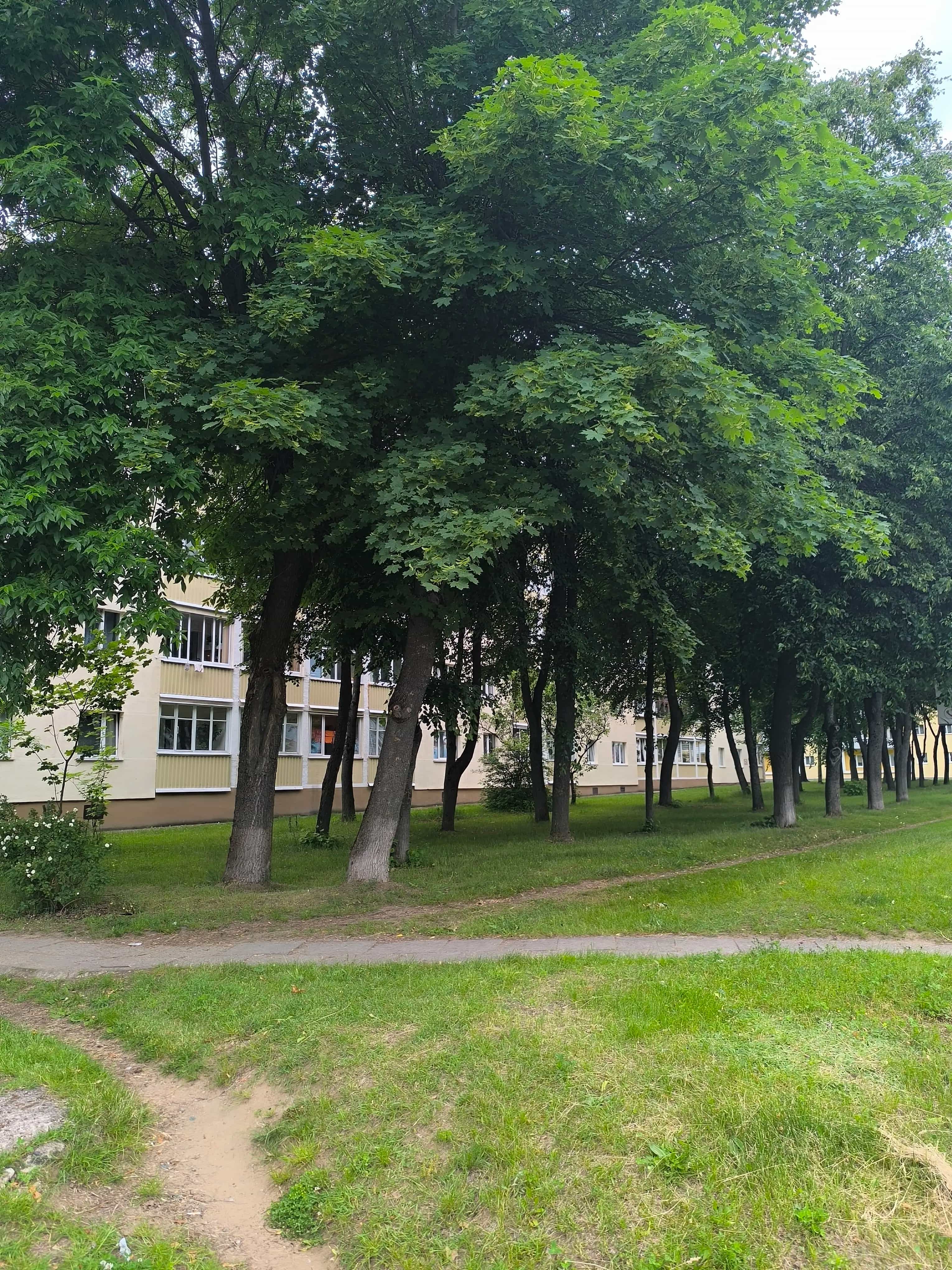 Беларусь, Брестская область, Барановичи, Советская улица, 89, фото 14