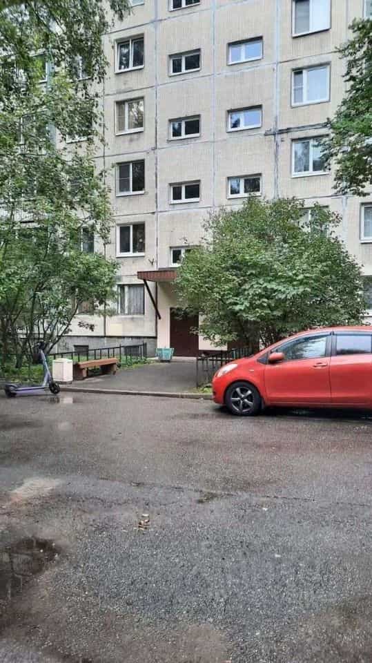 Россия, Санкт-Петербург, проспект Луначарского, 21к2, фото 3