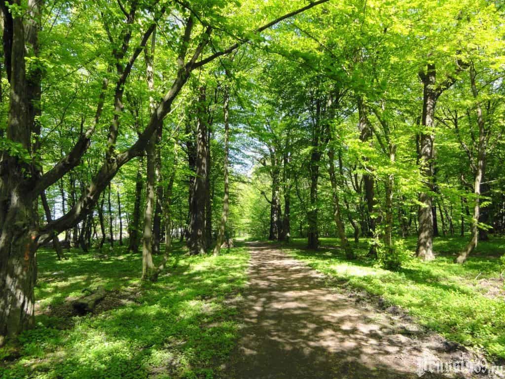 Россия, Калининград, улица Виктора Гакуна, 2, фото 43