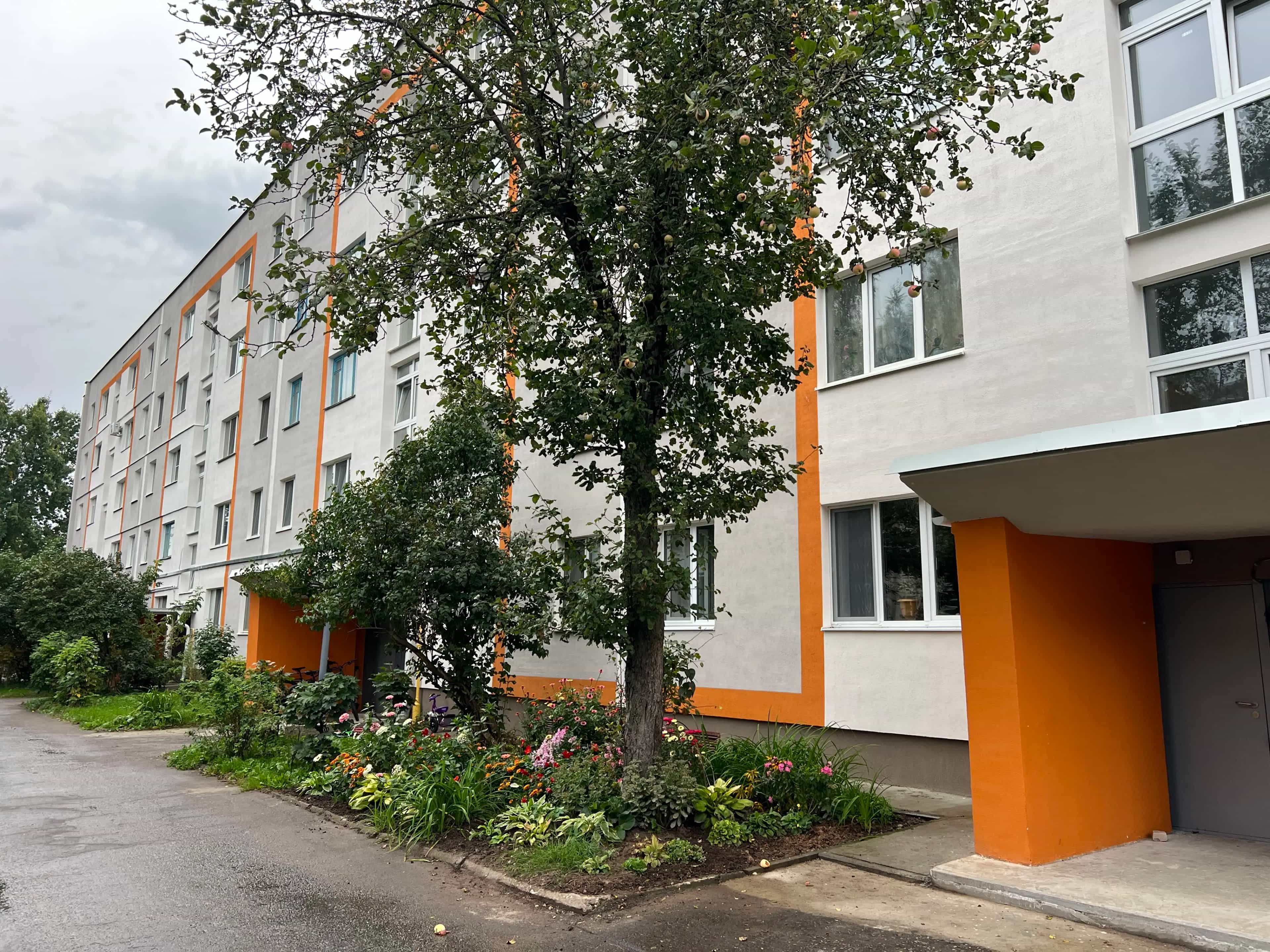 Беларусь, Витебская область, Орша, улица Мира, 62, фото 18