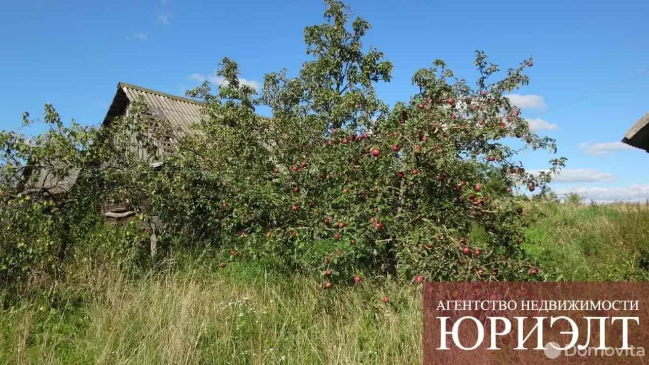 Беларусь, Минская область, Несвижский район, Липский сельсовет, деревня Крутой Берег, улица Некрасова, 105, фото 5