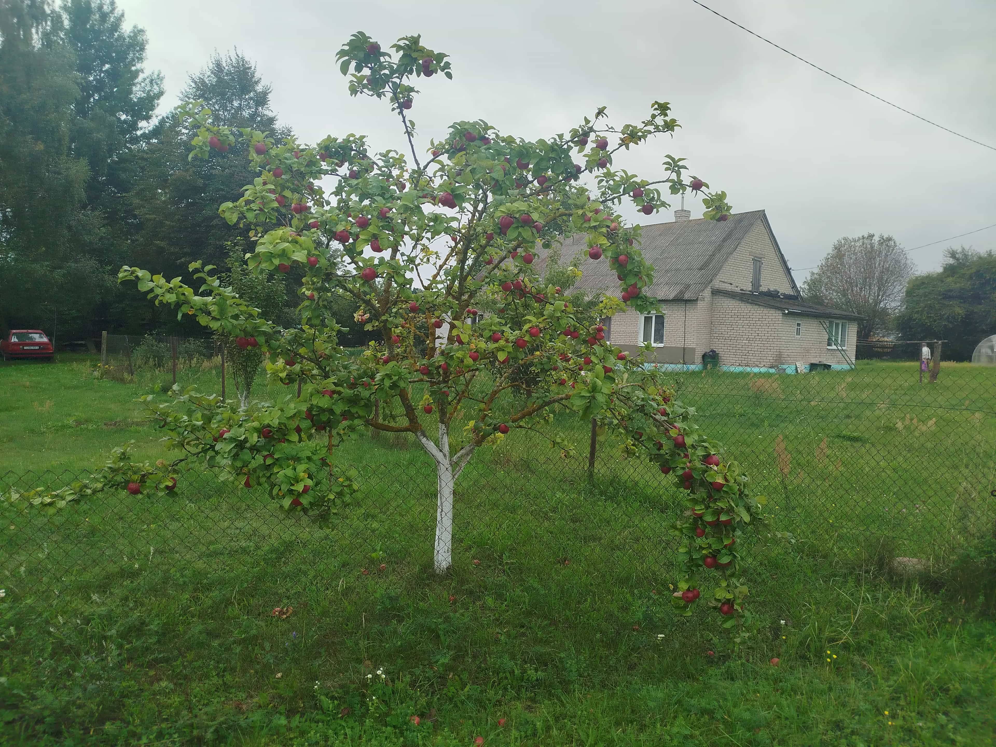 Беларусь, Гродненская область, городской посёлок Вороново, Октябрьская улица, 58А, фото 24