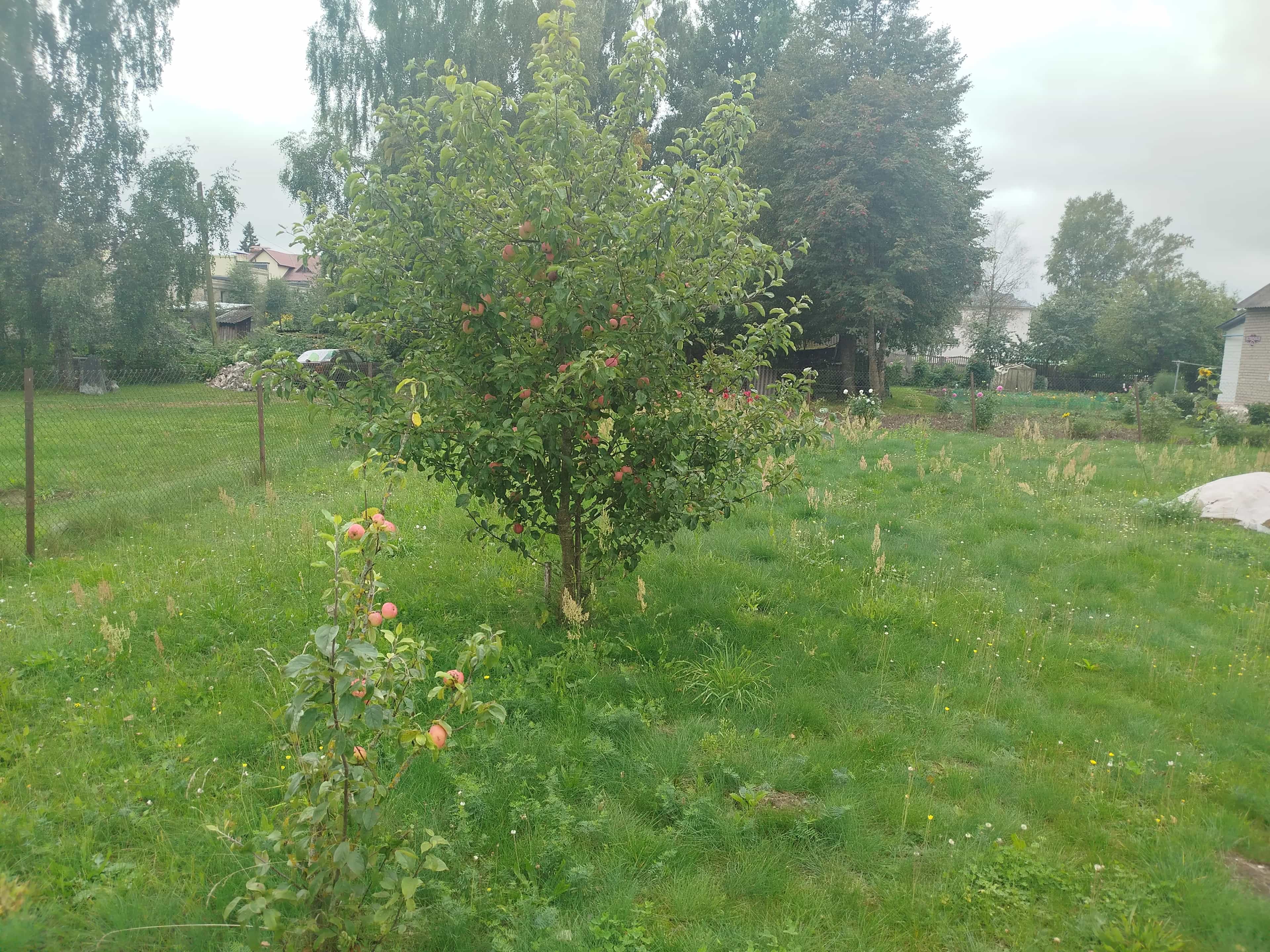 Беларусь, Гродненская область, городской посёлок Вороново, Октябрьская улица, 58А, фото 25