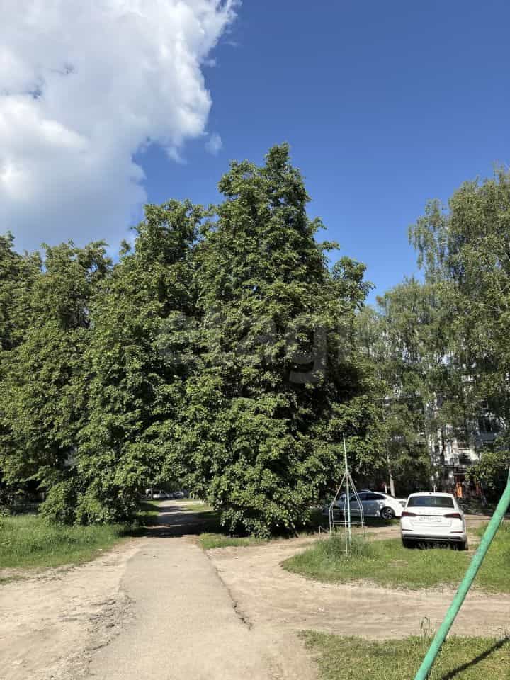 Россия, городской округ Брянск, Бежицкий район, улица 22-го съезда КПСС, 41, фото 34