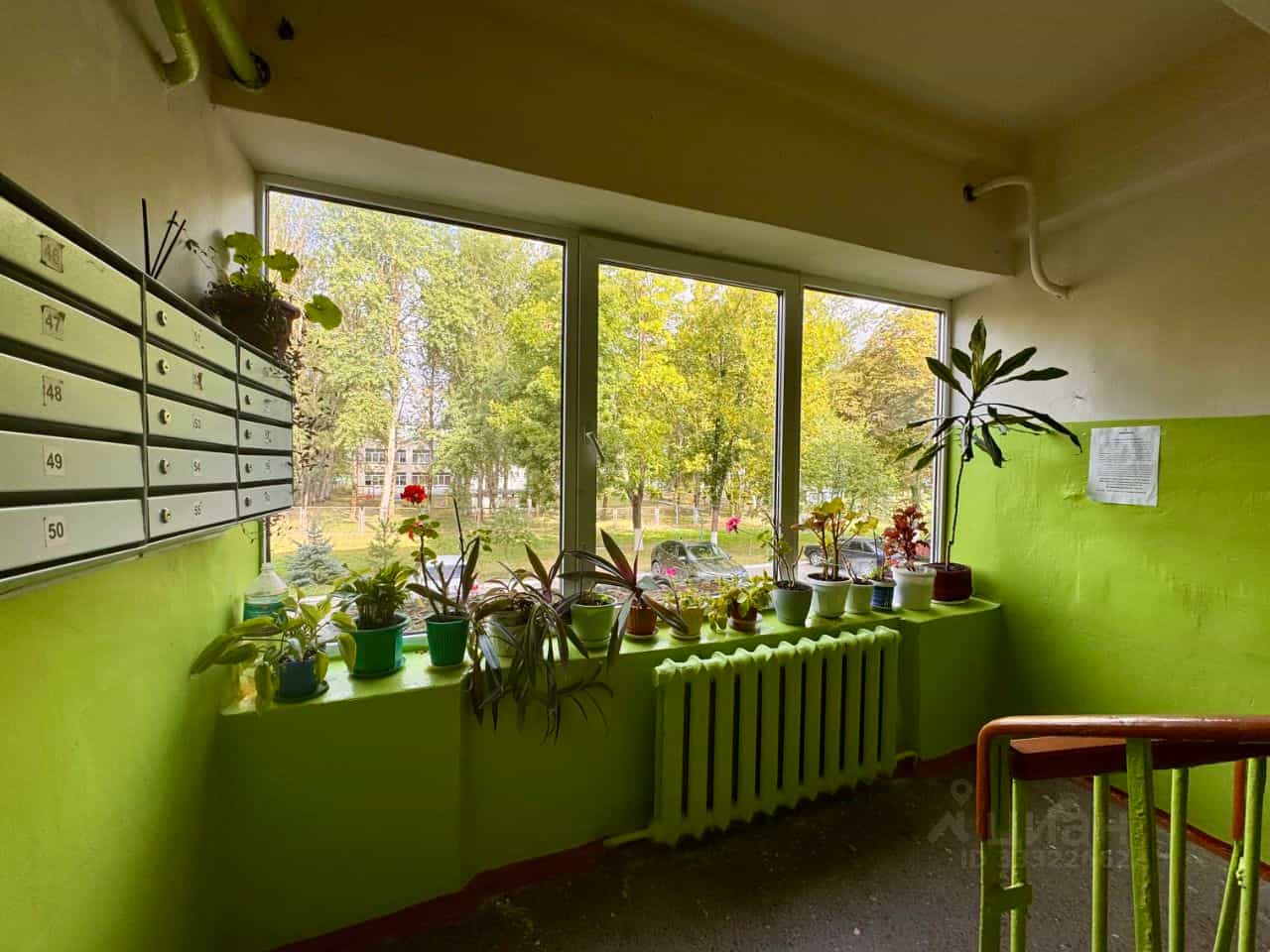 Россия, Брянская область, Клинцы, улица Мира, 99, фото 20