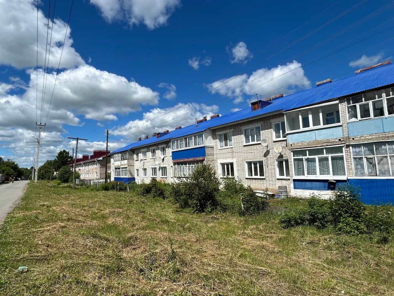 Россия, Ульяновская область, Карсунский район, Языковское городское поселение, рабочий посёлок Языково, Михайлова улица, 8, фото 30