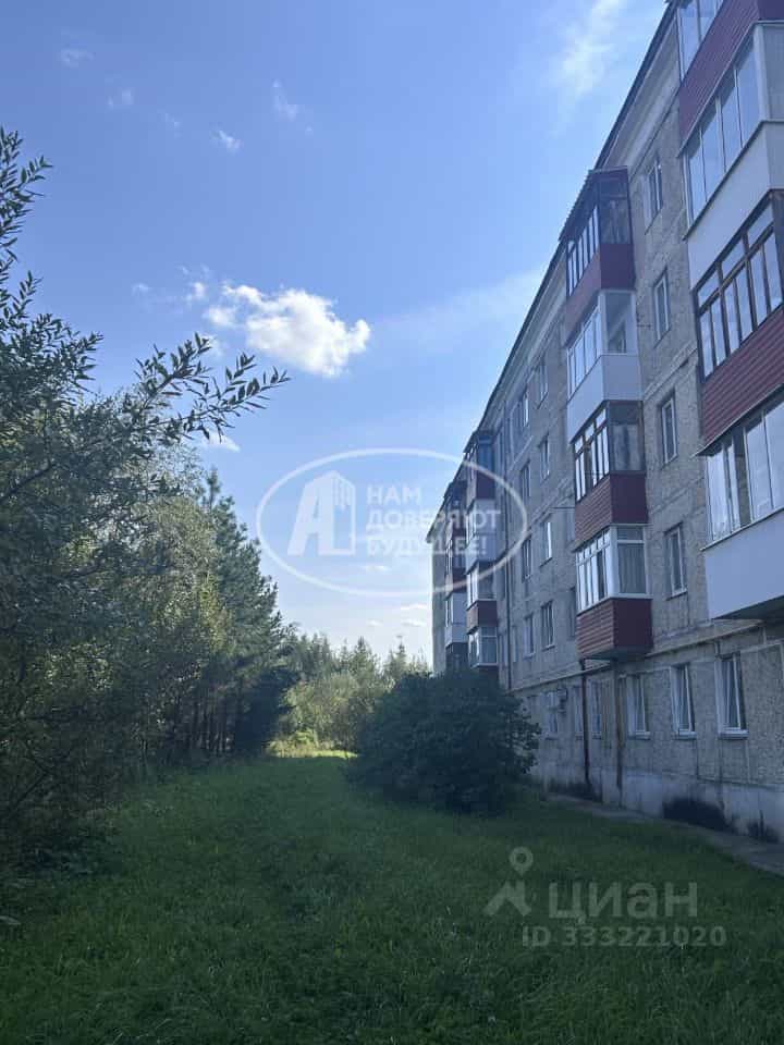 Россия, Пермский край, Лысьва, улица Энгельса, 22, фото 23