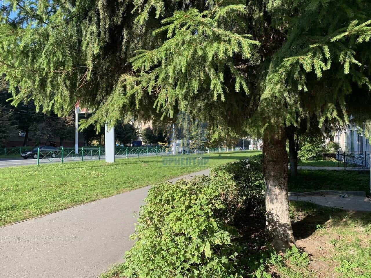 Россия, Чувашская Республика — Чувашия, Новочебоксарск, улица Винокурова, 31, фото 34