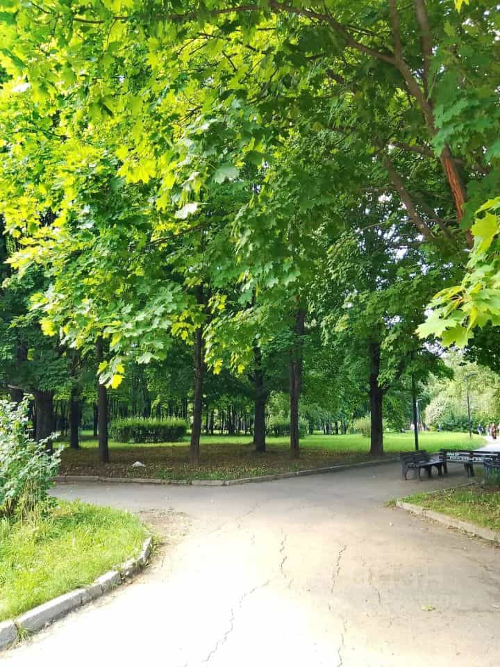 Россия, Рязань, район Приокский, улица Пирогова, 4, фото 22