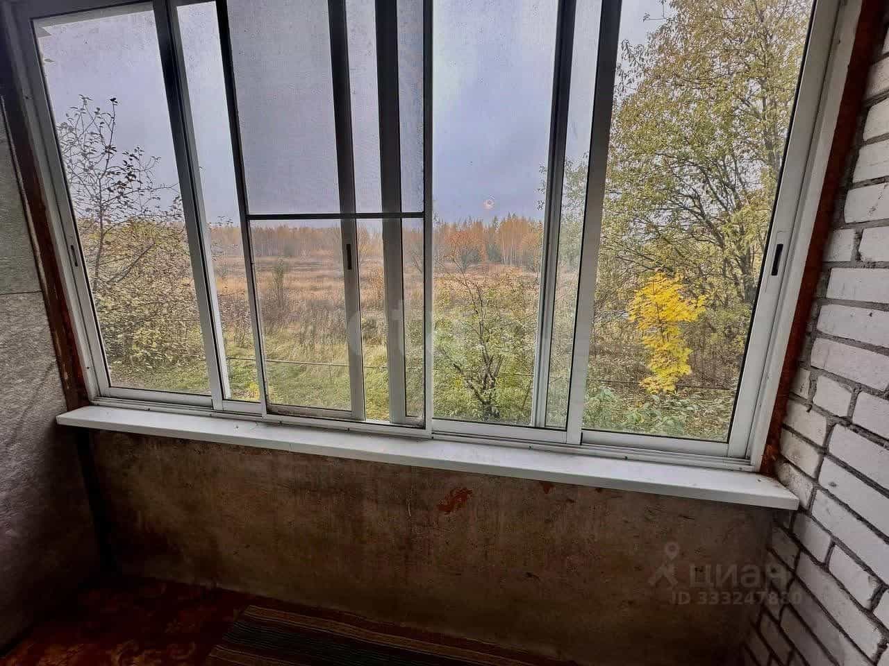 Россия, Владимирская область, Петушки, Московская улица, 36, фото 14