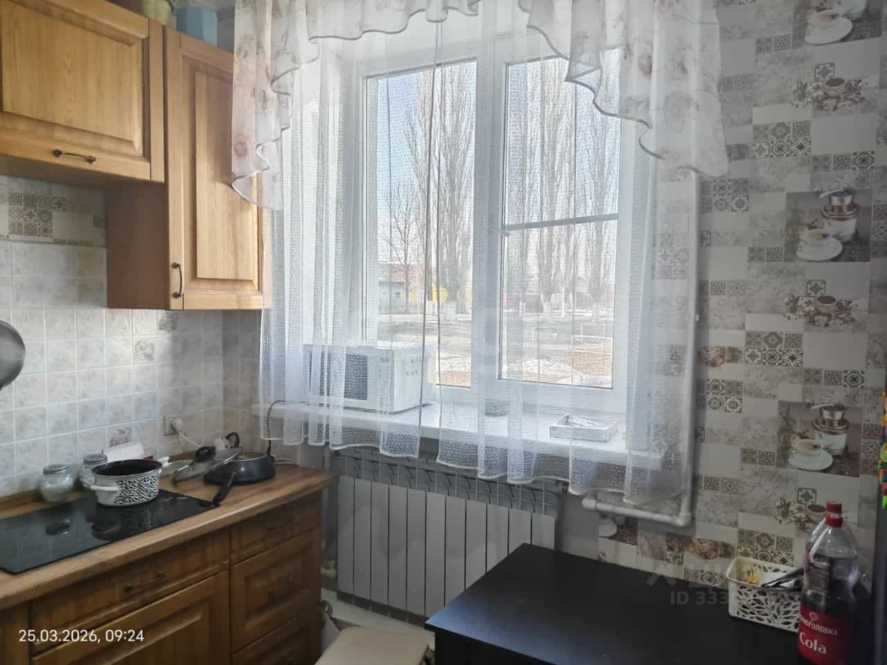 Россия, Воронежская область, посёлок городского типа Грибановский, Центральная улица, 34, фото 8