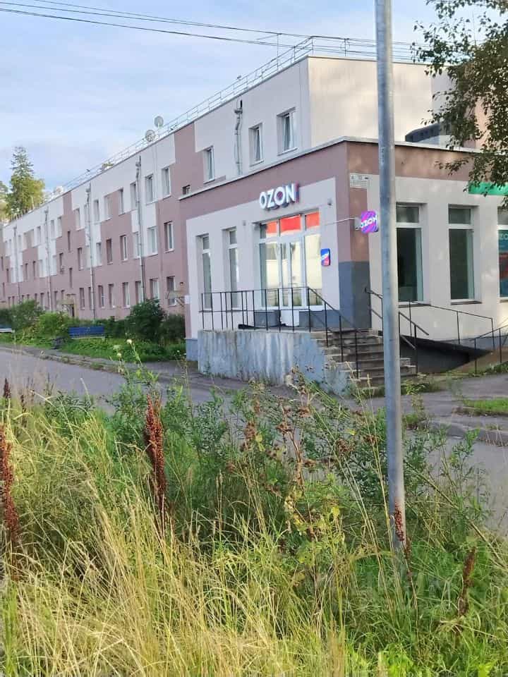 Россия, Ленинградская область, Гатчинский муниципальный округ, городской посёлок Сиверский, Красная улица, 33А, фото 20