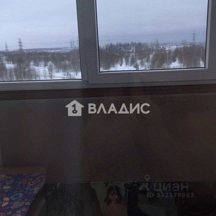 Россия, Владимир, Новгородская улица, 19А, фото 15